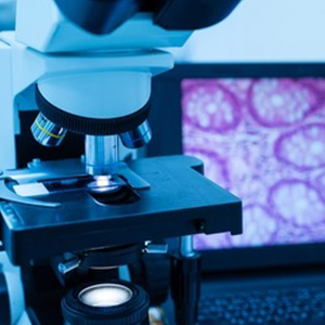 Pathologist in Vijayawada